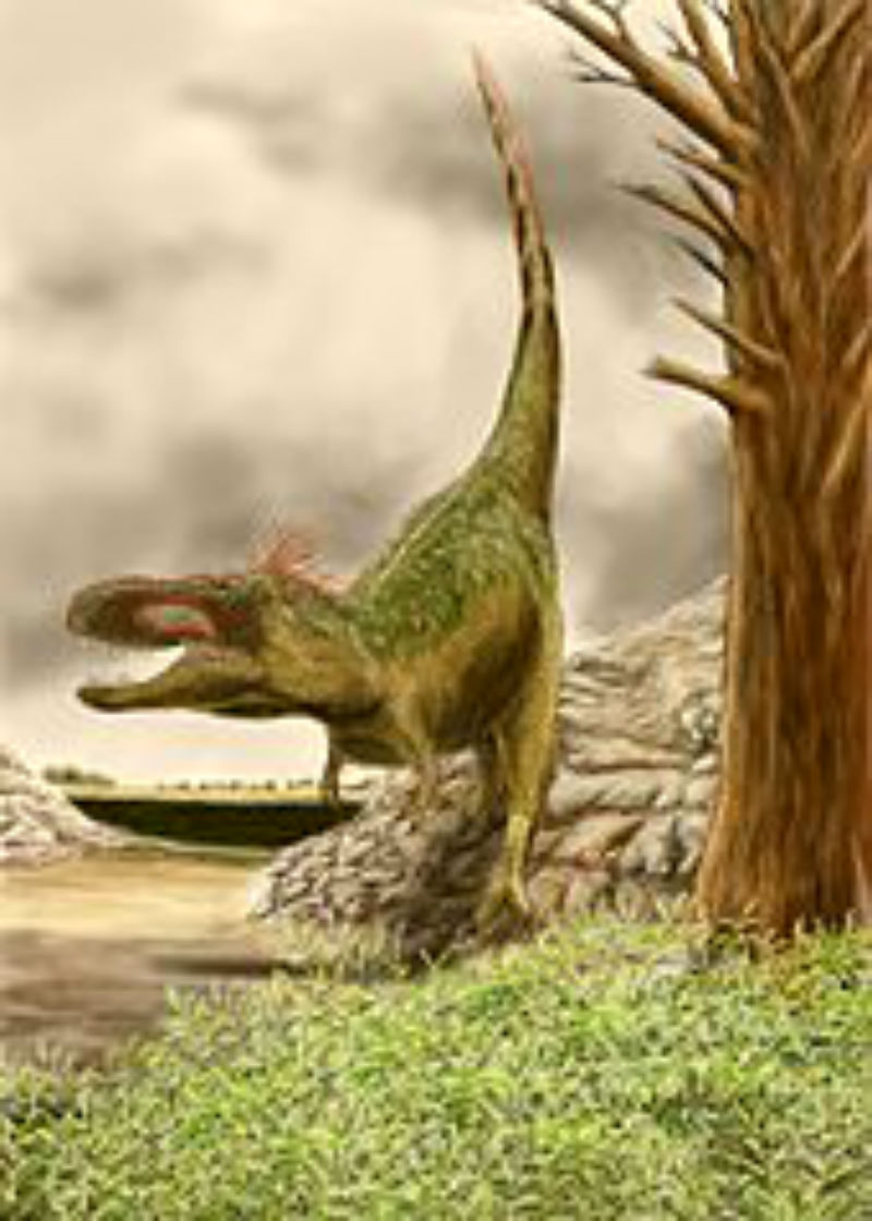 Zhuchengtyrannus